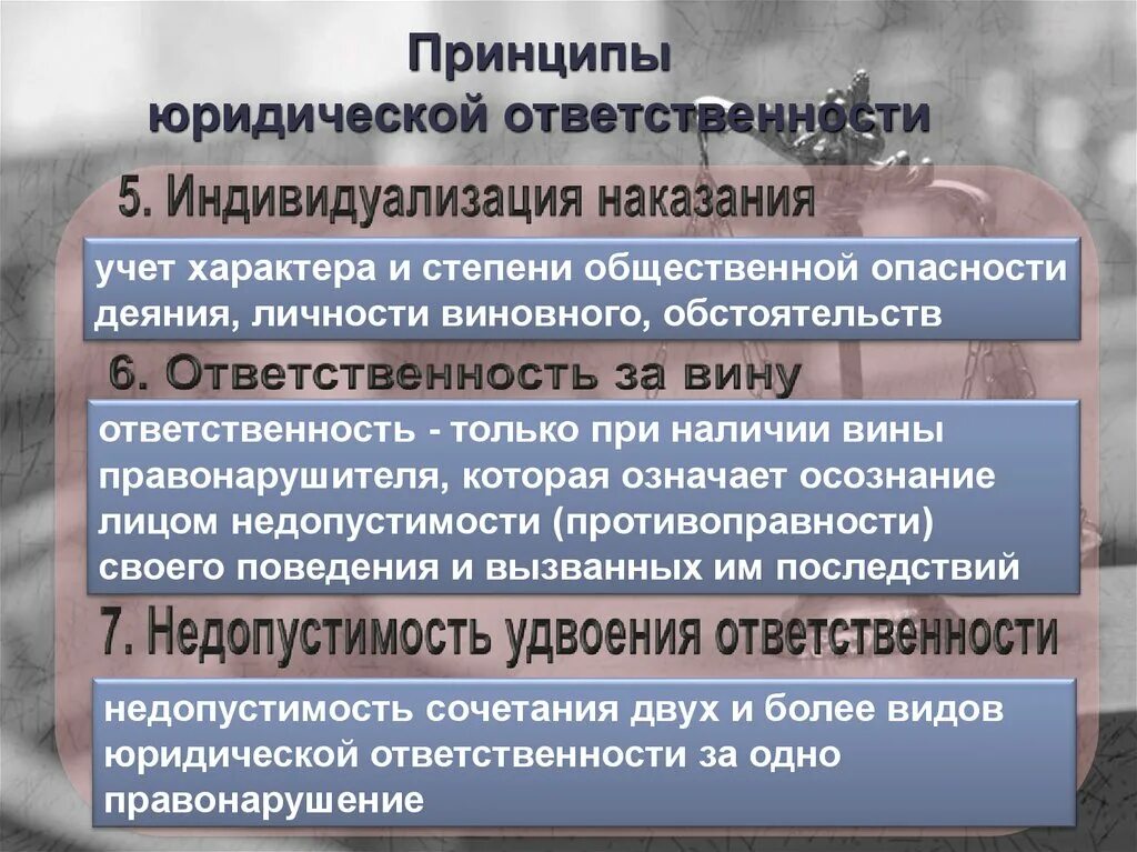 Принцип гуманизма справедливости. Принципы юридической ответственности. Принципы юрид ответственности. Принцип индивидуализации наказания юридической ответственности. Принцип ответственности юридической ответственности.