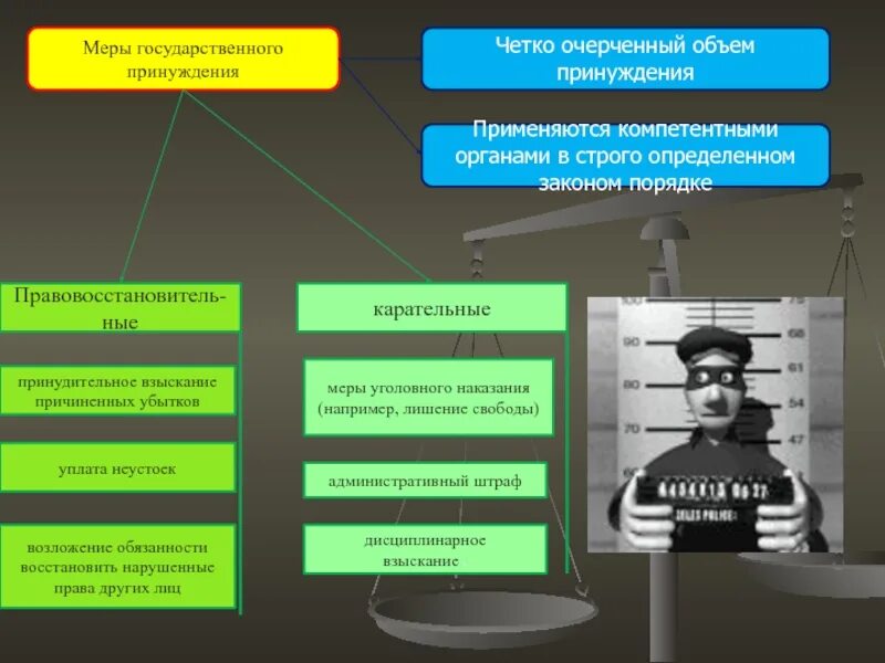 Какие меры применяли. Меры государственного принуждения. Мпоы государсьвенного принцжления. Система мер государственного принуждения. Органы государственного принуждения.