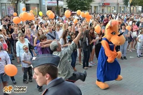 Воронеж 2012 год