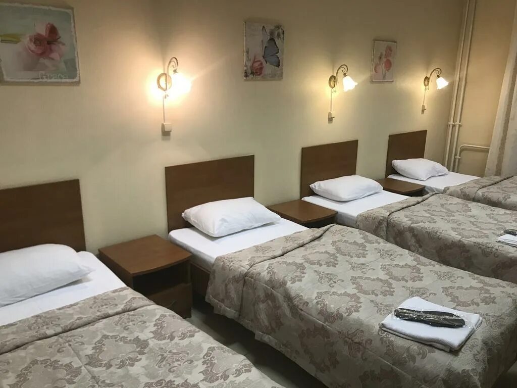 Румянцева 22 иркутск. Добрый кот гостиница иркутск. Гостиница добрый кот. Доброе отель. Добрый кот гостиница иркутск.