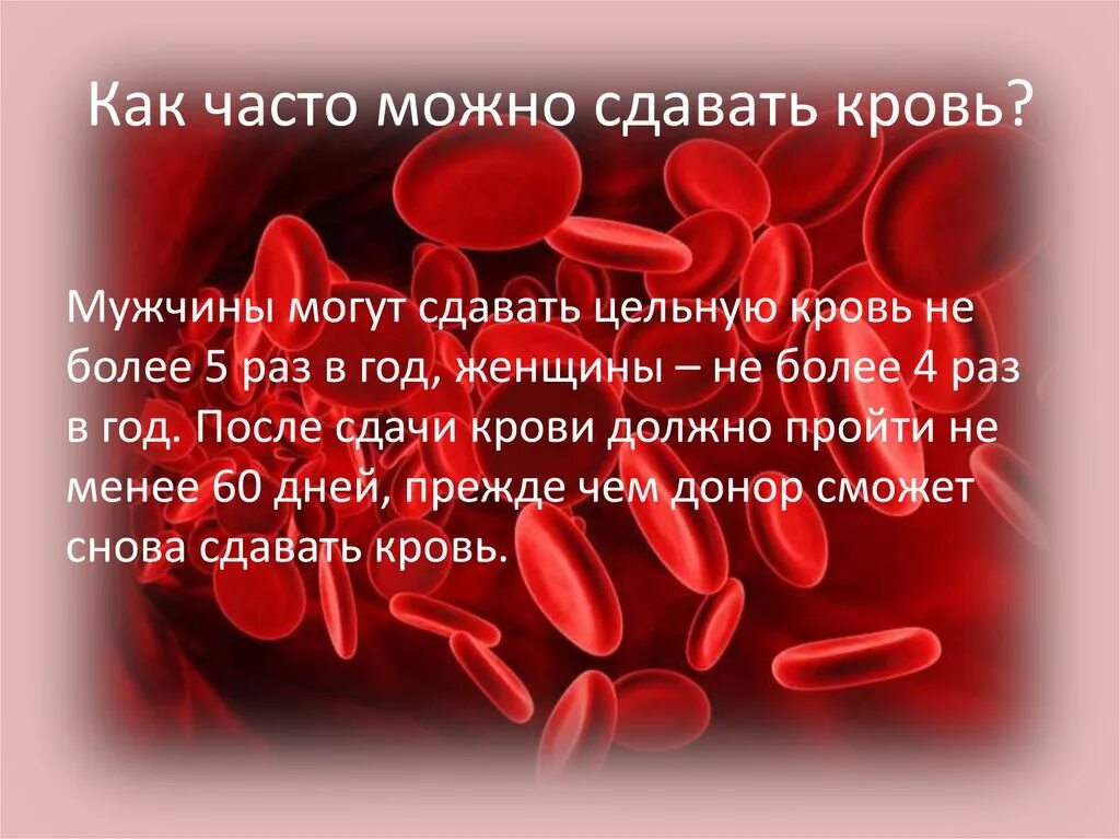 Почему нельзя кушать кровь. Какчасьо можно сдавать кровь. Как часто можно сдавать кровь. Как частл можно мдпватькровь. Как часто можно сдавать Крот.