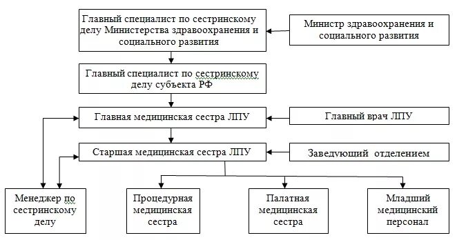 Организация сестринской службы. Модель управления сестринским персоналом. Структурно логическая схема сестринского процесса. Структура сестринского персонала в ЛПУ. Управление персоналом в сестринском деле.