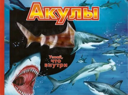 Аннотация акулы
