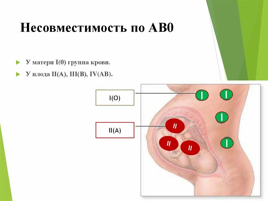 3 группа крови совместимость для зачатия. Изосерологическая несовместимость крови матери и плода. Несовместимость групп крови при беременности. Несовместимые группы крови для беременности. Первая группа крови.