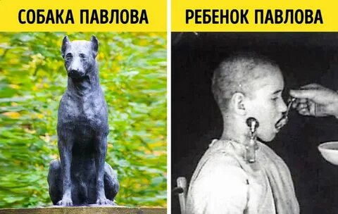 Опыты на людях и животных