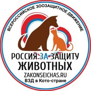 Общество животных