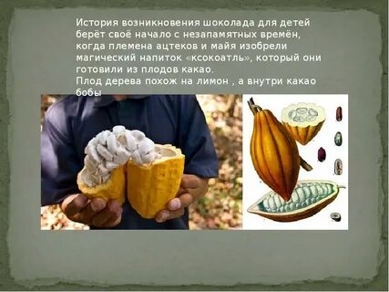 Европейцы узнали о бананах благодаря согласно древнеримским