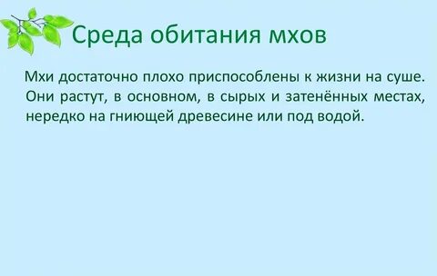 Среда обитания сфагнума