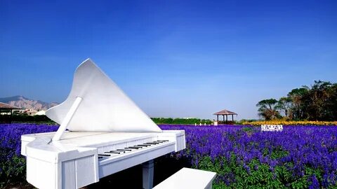 Незвичайний білий рояль в поле квітів на відкритому повітрі - шпалери на те...