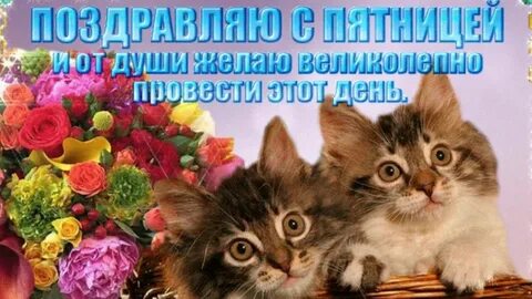 Отличной пятницы и хорошего настроения картинки красивые