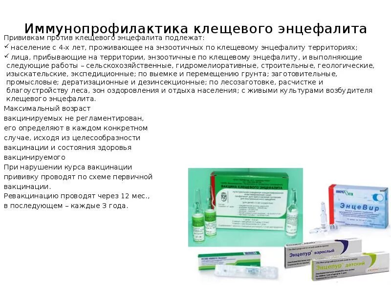 Схема вакцинации против клещевого энцефалита. V1 клещевой энцефалит прививка. схема иммунизации против клещевого энцефалита. схема введения вакцины против клещевого энцефалита. вакцина от клещевого энцефалита v1.