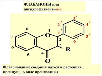 Флавонолы