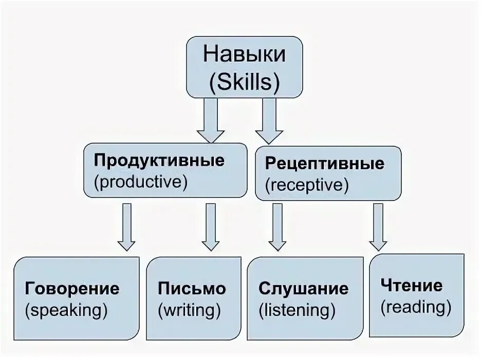 Продуктивные навыки. Рецептивные грамматические навыки. Рецептивные и продуктивные. Продуктивные и рецептивные навыки грамматика. Навык говорения английский