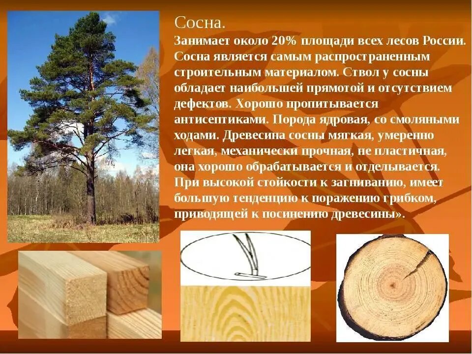 Примеры использования дерева