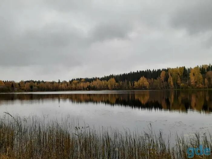 Озеро м 2 0 2. Мануйлово Новгородская область Окуловский. Деревня Мануйлово Новгородская область Окуловский район. Земля в Окуловке Новгородской.