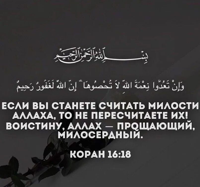Коран 11 11. Воистину аллах прощающий. цитаты про милость аллаха. цитаты из корана в картинках. аяты корана.