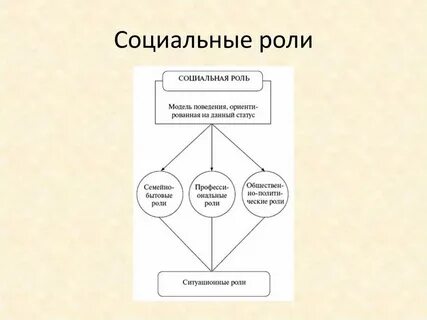 Общее социальное положение это