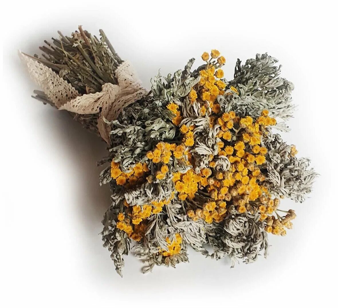 5% 5мл фл. экстракт травы полыни горькой. полынь 25. полынь 25. цитварная полынь дармина.