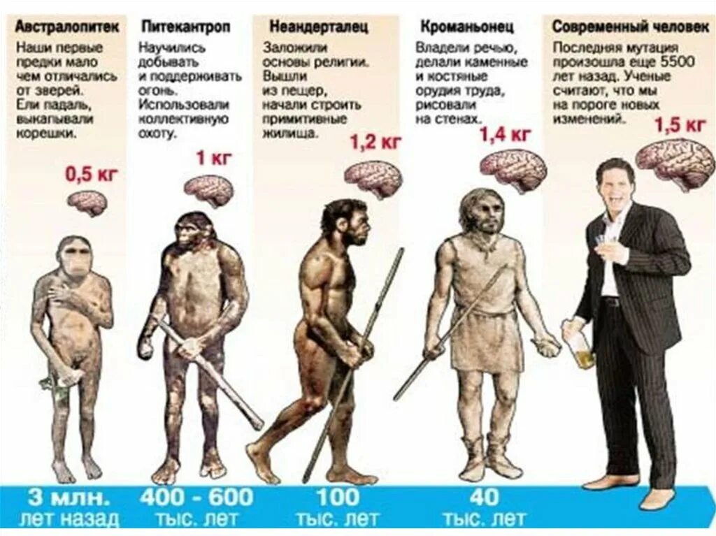 Объем мозга питекантропа. Ступени развития человека хомо сапиенс. Таблица эволюции неандерталец кроманьонец. Эволюция человека неандерталец кроманьонец. Типы древних людей.