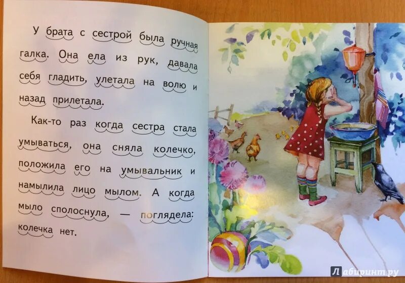 Б житков галка. Рассказ житкова галка. Житков галка читательский дневник. Житков галка читательский дневник. Житков галка читательский дневник.