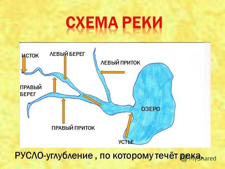 Схема реки Исток приток Устье. Истоки реки Устье реки правый берег левый берег. Что такое Устье реки и Исток и русло и приток. Схема Исток русло Устье правый берег левый берег приток. Как определить какой берег реки правый