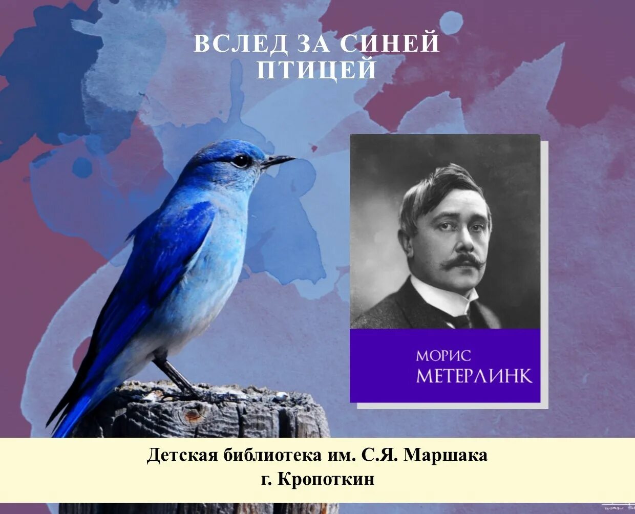 Синяя птица Метерлинк. Синяя птица Автор. За синей птицей. Вслед за синей птицей