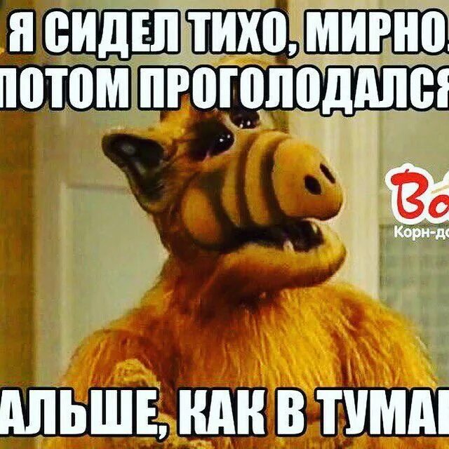 Жил тихо мирно. Профессионально выношу мозг. Тихо мирно и любя выношу мозги всем я картинки. Дневник выношу мозг. Тихо мирно.
