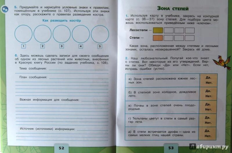 Окружающий мир страница 49 номер 3. Окружающий мир 4 класс тетрадь. Окружающий мир рабочая тетрадь 2 часть. Окружающий мир рабочая тетрадь Плешаков Крючкова. Окружающий мир. Рабочая тетрадь. 1 Класс. Часть 2.