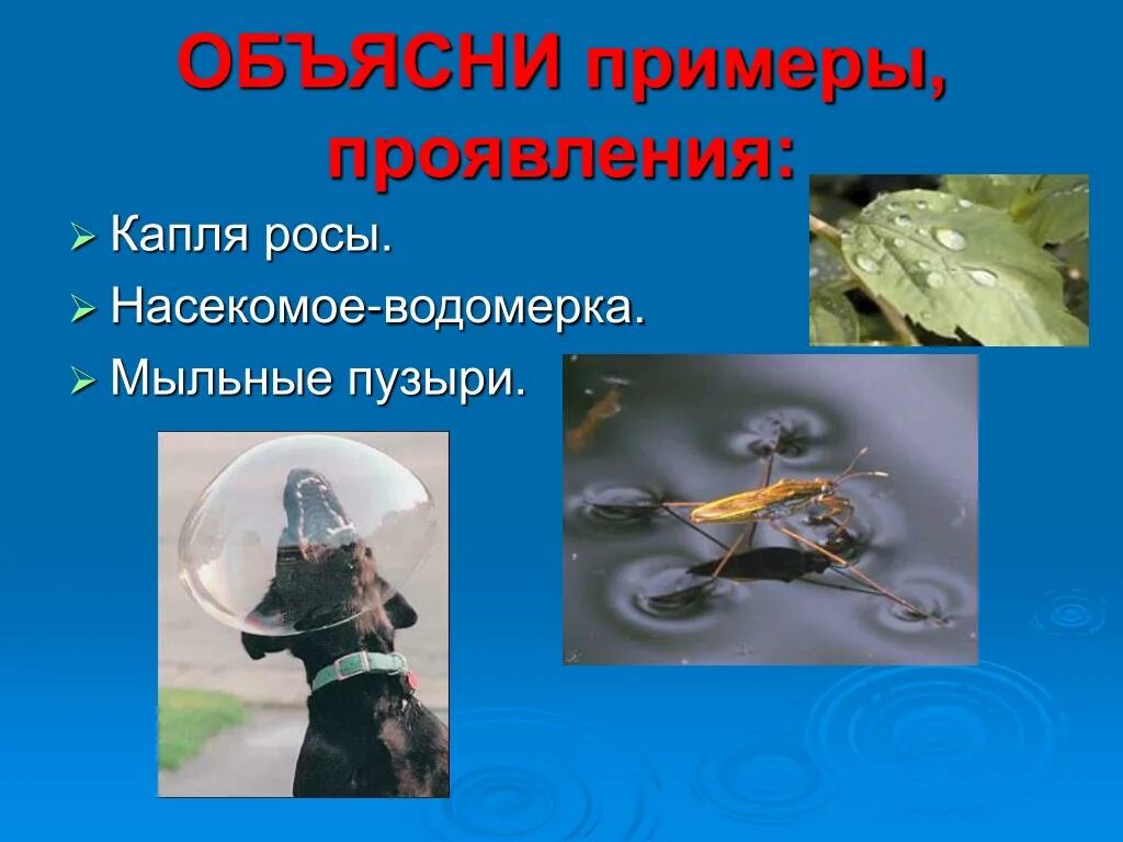 Пример проявления из жизни PPT Урок толерантности PowerPoint Presentation, free download ID:4883243
