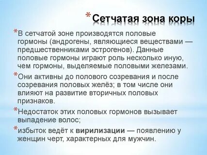 Сетчатая зона
