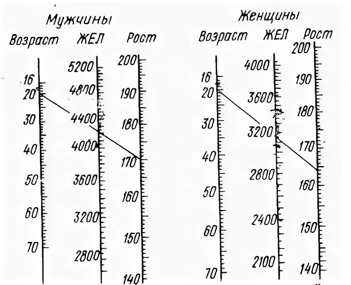 Жизненная емкость у женщин