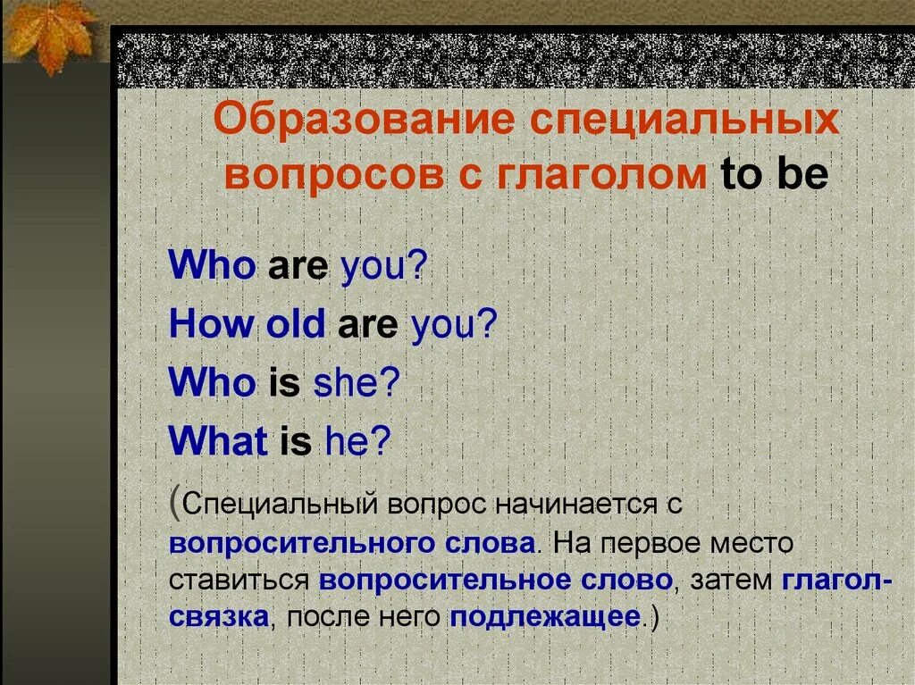 Специальные вопросы в английском языке. How специальный вопрос. Вопросительные слова для специального вопроса. Специальные твопросы в англ. Вопросительные предложения специальный вопрос