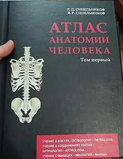 Синельников атлас анатомии человека 3