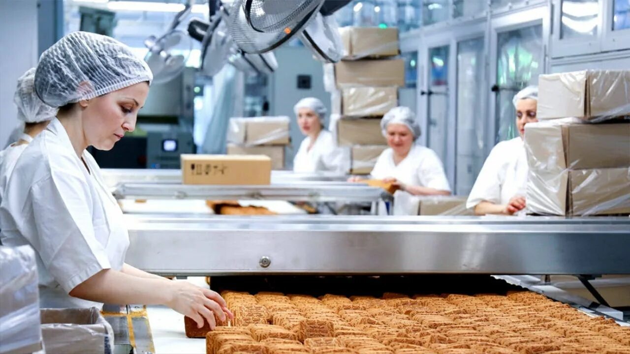 Хлебокомбинат орехово зуево. День работников пищевой промышленности. День пищевого производства. День работников пищевой промышленности. День пищевого производства.