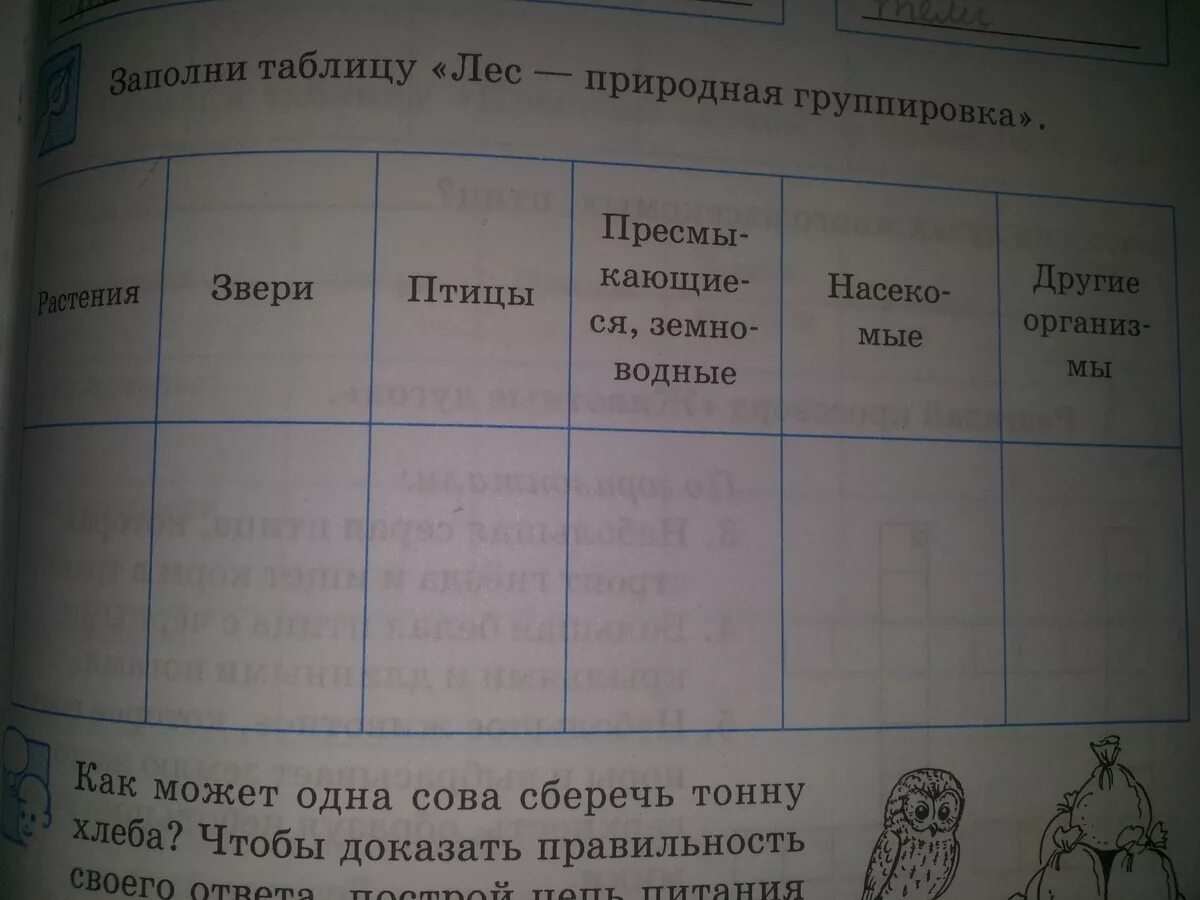 Таблица разнообразие лесов. Заполните таблицу Естественные природные сообщества. Заполни таблицу природные сообщества. Заполни таблицу природное сообщество лес. Заполните таблицу сравнительная характеристика лесов.