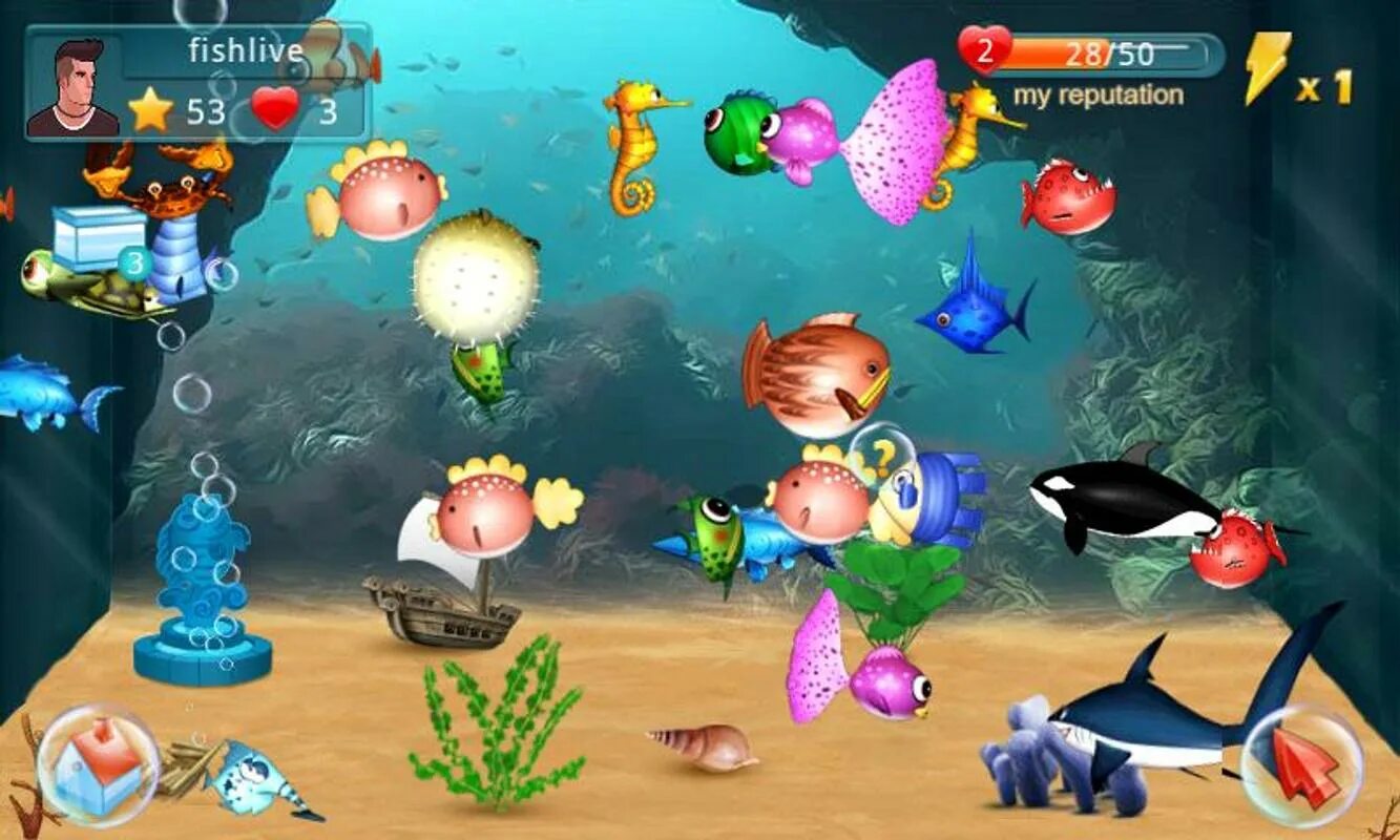 Fish Live игра. Игра аквариум. Игра аквариум с рыбками. Игра компьютерная рыбка в аквариуме. Рыба старая игра