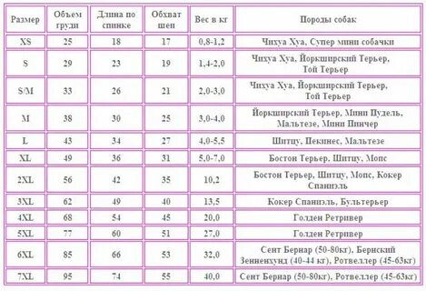 Как узнать размер собаки для одежды