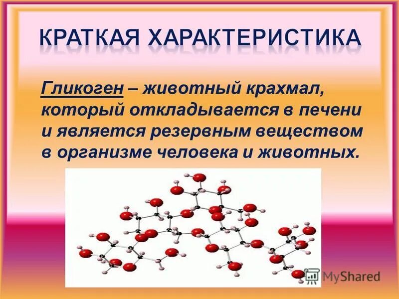 Печень запасает гликоген. Функции гликогена в организме человека. Роль гликогена в организме. Функции гликогена в животном организме. Биологическая роль гликогена в организме.