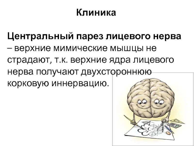 Центральный парез мимической мускулатуры. Центральный парез мимических мышц. Симптомы центрального паралича VII нерва. Центральный и периферический паралич мимических мышц.. Центральный парез лицевого нерва