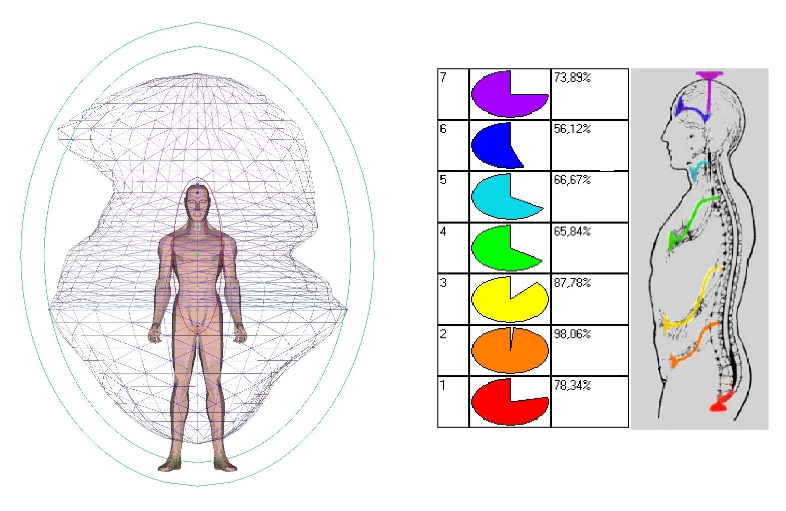 Аура человека схема. Аура чакры биополе человека. Биополе человека Аура цвета. Адаптометрия биополя человека. Информация на уровне энергий