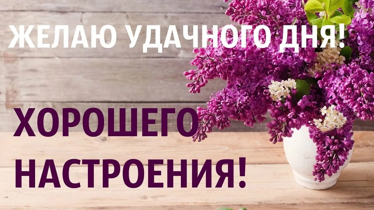 И вам удачного дня и хорошего. Удачного дня и хорошего настроения. хорошего дня и отличного настроения. хорошего продуктивного дня. доброго дня и хорошего настроения.