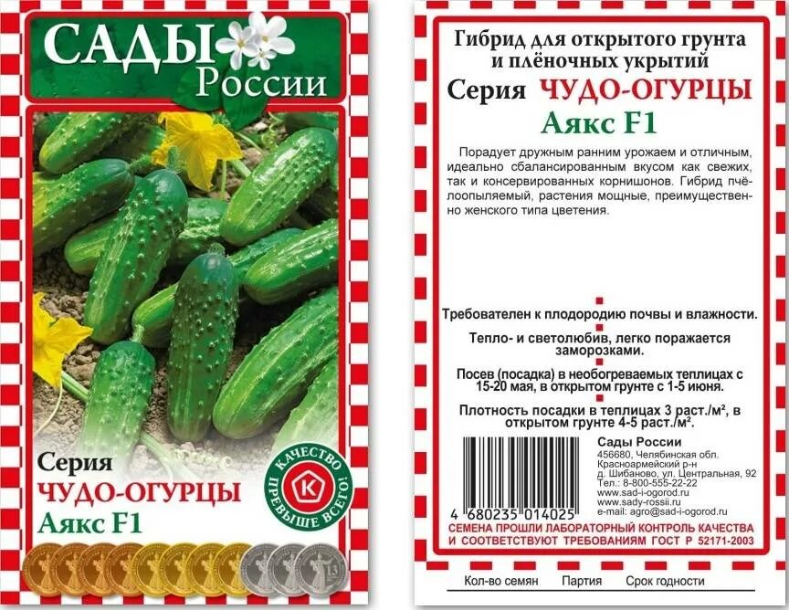 Огурец аякс f1. Сорт огурцов аякс. огурец аякс f1 10шт/10. гибрид огурца.