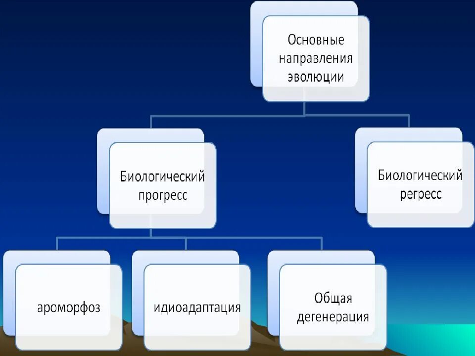 Направление развития 9. Основные направления эволюции. Главные направления эволюции схема. Главные направления эволюции 9 класс.