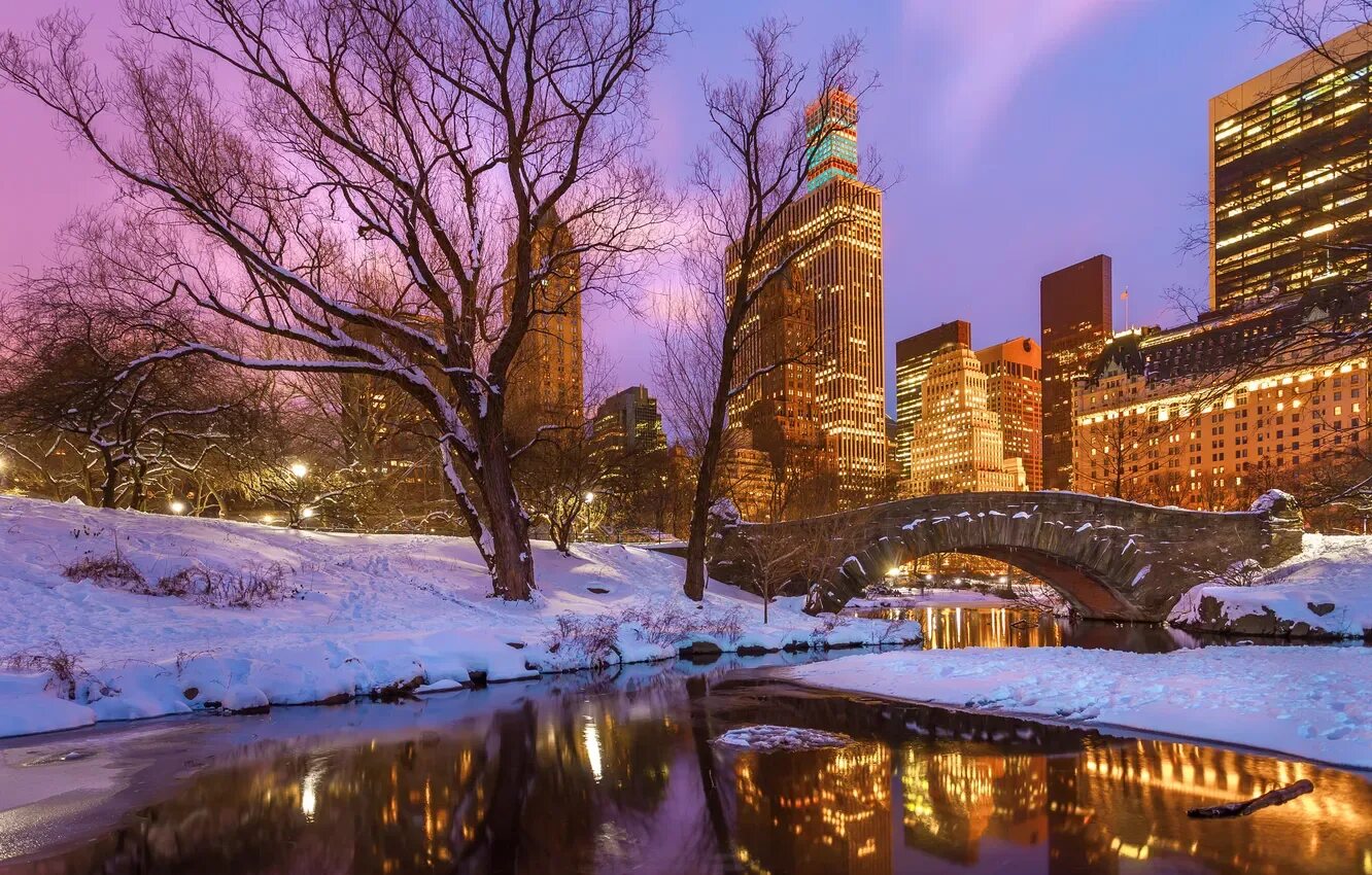Top 10 Things To Do with Kids During Winter in New York : New York Habitat Blog