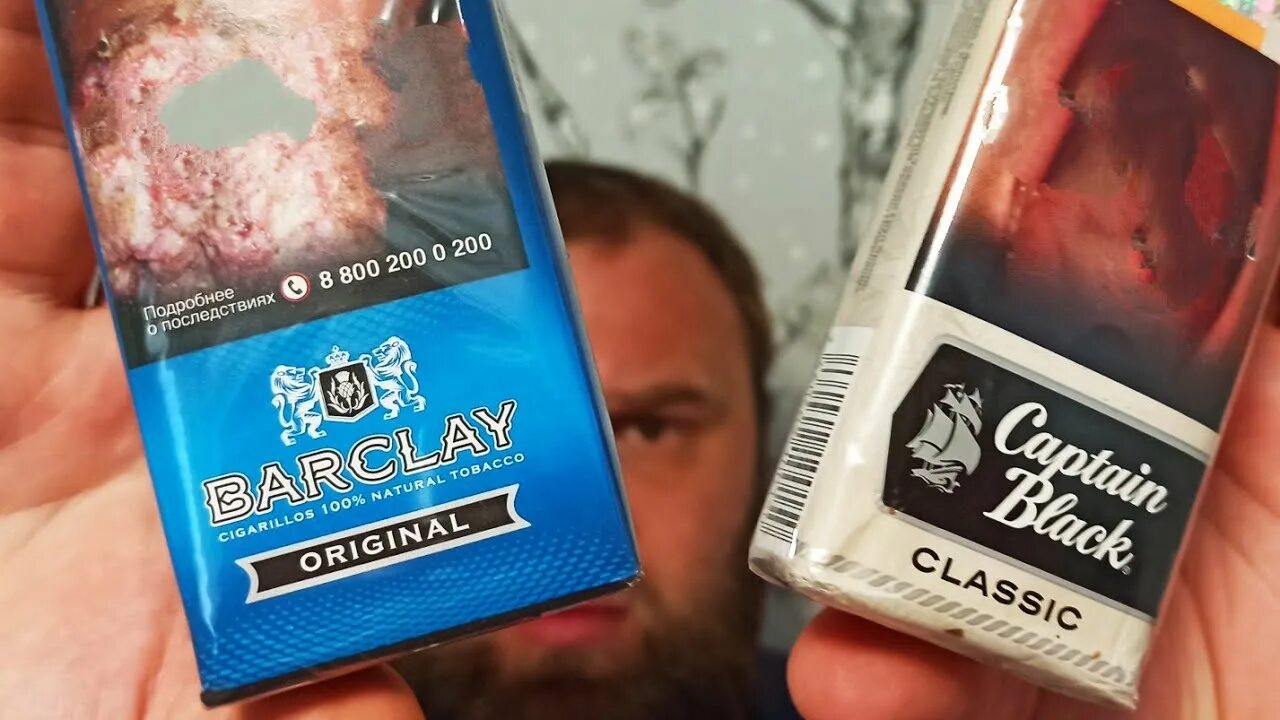 Barclay original. Сигариллы barclay original. сигариллы barclay original портисар. сигариллы barclay 100. сигариллы barclay cherry.