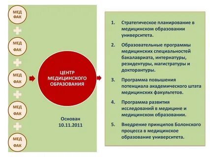 Образовательная программа бакалавриат