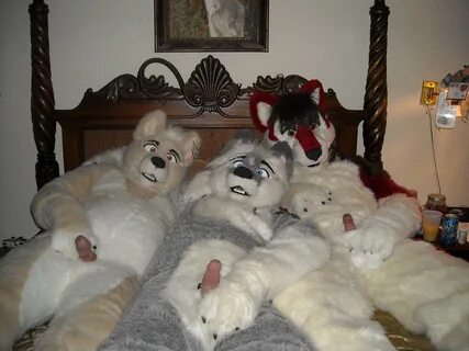 Fursuit orgy