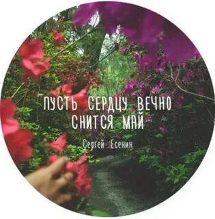Май в душе (Лена Прыткова) / Стихи.ру