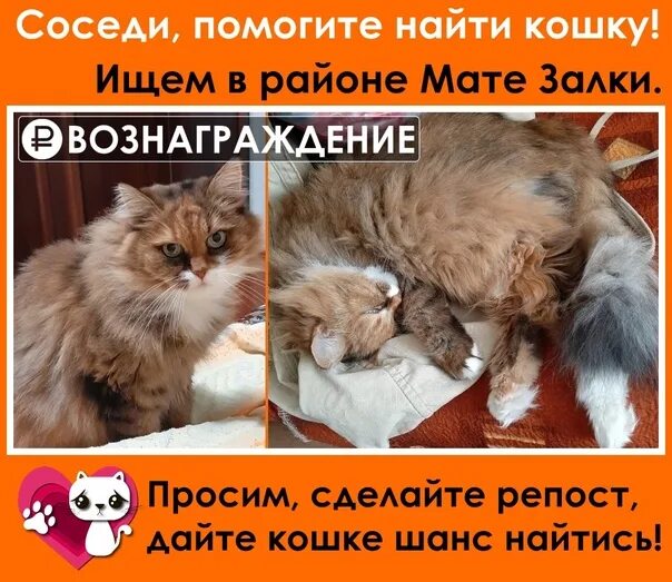 Помогаю репостом
