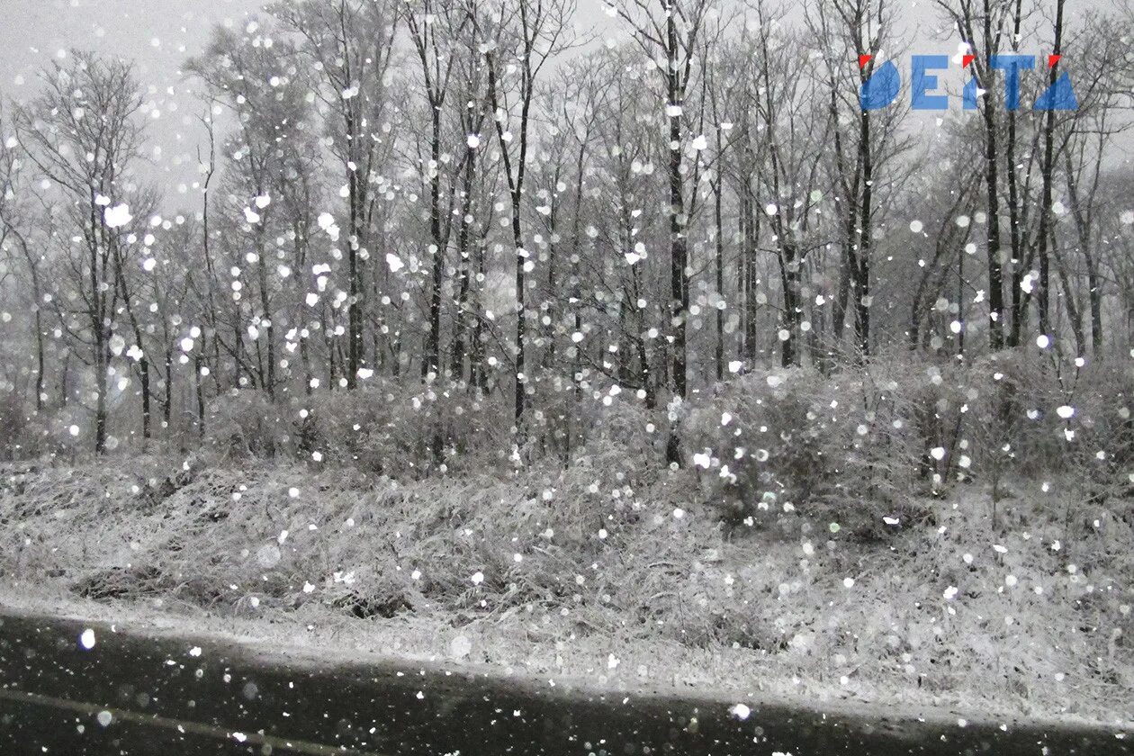 Песни хороводит снег с дождем. Снег с дождем. Дождь и снег весной. Снег идет в апреле. Снег идет весной.